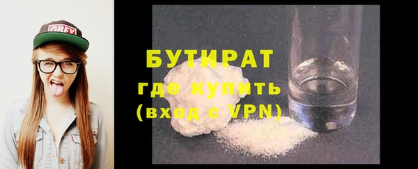 индика Осташков