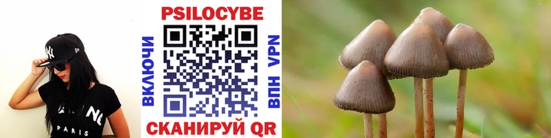 Галлюциногенные грибы Psilocybine cubensis Пыталово